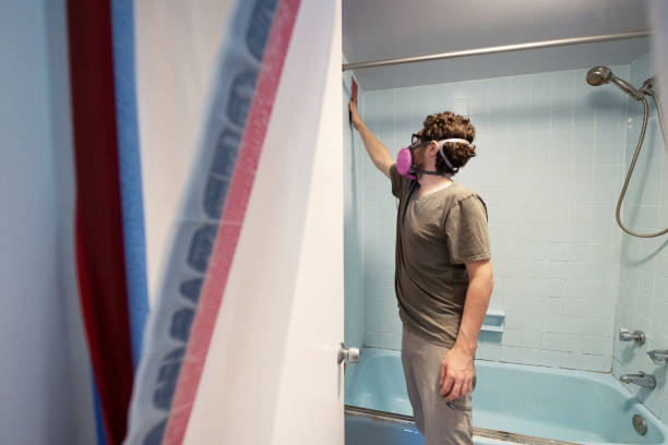 Best HVAC Mold Inspection and Cleaning  in Allen Park, MI