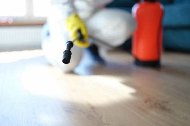 Best Asbestos and Lead Testing During Mold Inspection  in Allen Park, MI