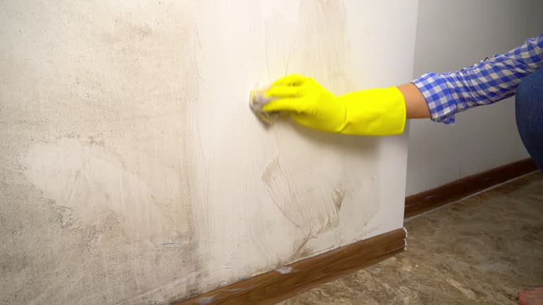 Best Asbestos and Lead Testing During Mold Inspection  in Allen Park, MI