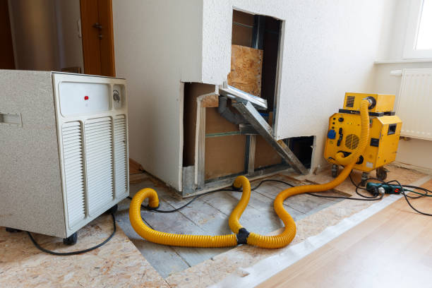 Best Air Quality Testing for Mold Spores  in Allen Park, MI