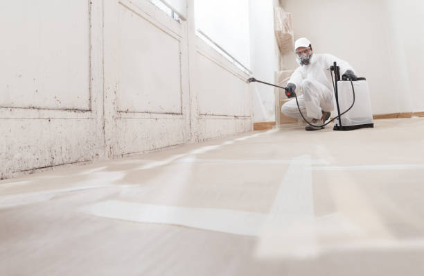 Forensic Mold Investigation in Allen Park, MI